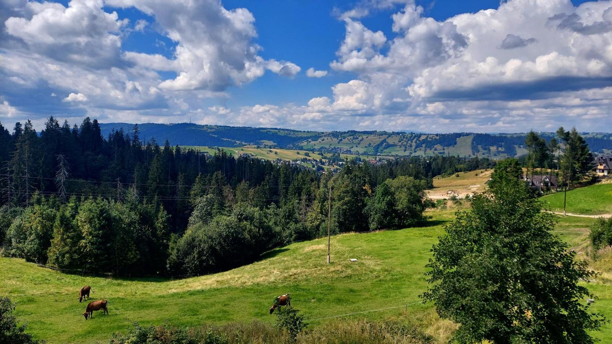 Willa Posrednia - Widok Na Tatry Z Kazdego Pokoju — Photos 2
